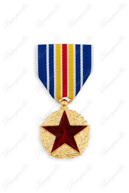 Médaille des blessés militaires