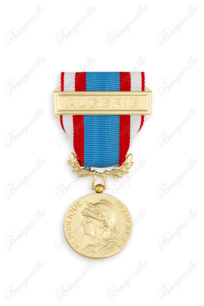 Médaille Commémorative des Opérations de Sécurité et de Maintien de l'Ordre en Afrique du Nord (AFN)